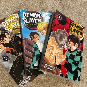 Demon Slayer Manga Set Volumes 2-4